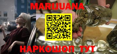 стаф Новодвинск