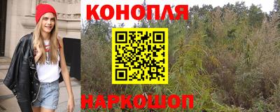 2c-b Новозыбков