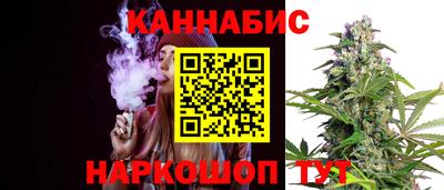 стаф Новодвинск