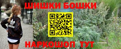 стаф Новодвинск
