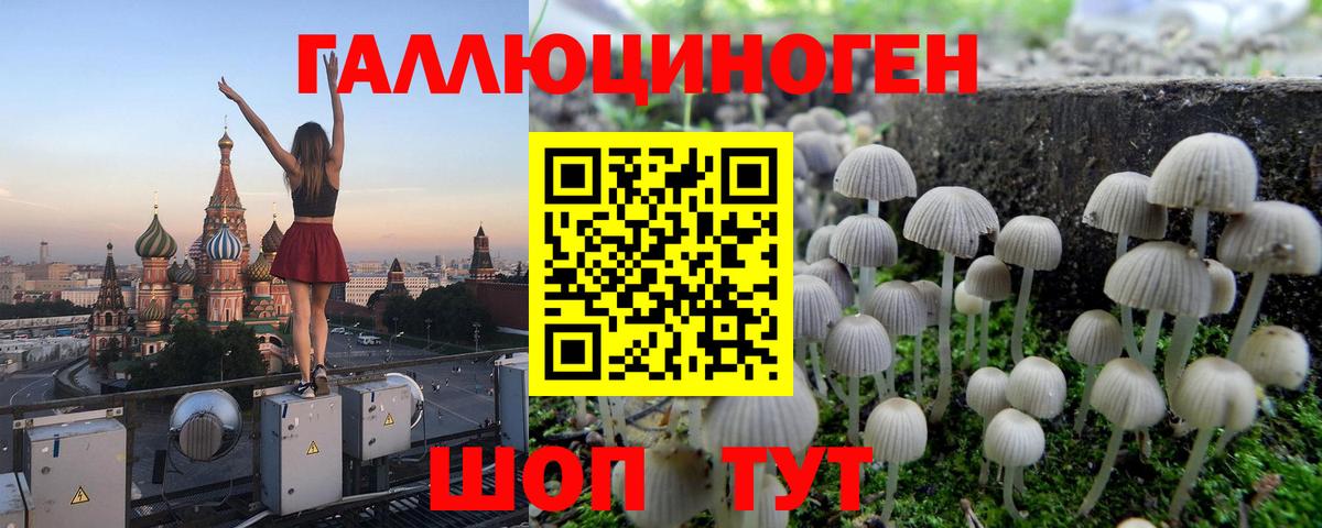 Новый Уренгой  Псилоцибиновые грибы прущие грибы  Вход с VPN  Галлюциногенные грибы мухоморы 