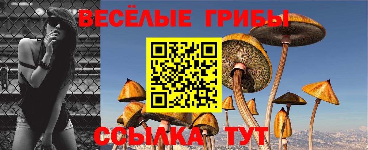 Галлюциногенные грибы мухоморы Новый Уренгой